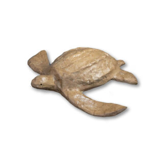 adult biodegradable turtle paper cremation urn