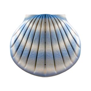 aqua the shell biodegradable cremation urn